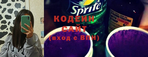 прущие грибы Инта
