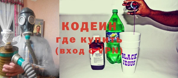 прущие грибы Инта