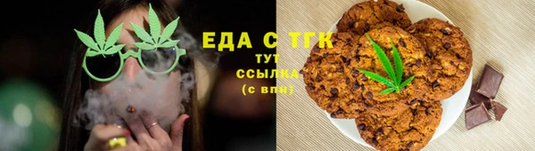 прущие грибы Инта