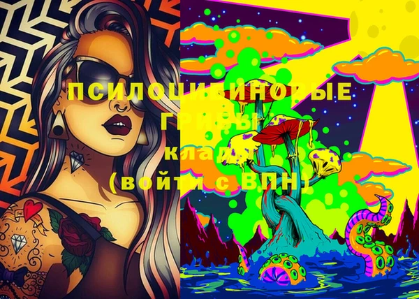 марки lsd Инсар