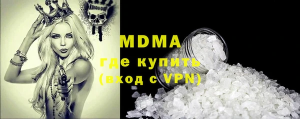 прущие грибы Инта