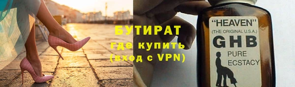 прущие грибы Инта