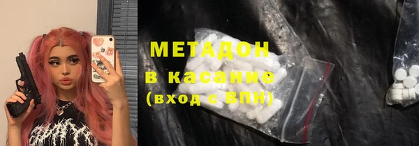 прущие грибы Инта