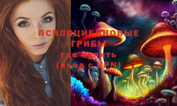 марки lsd Инсар