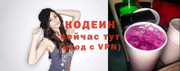 прущие грибы Инта