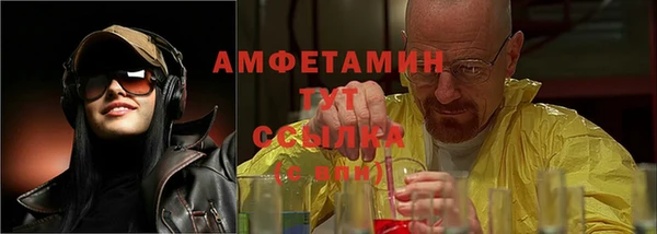 прущие грибы Инта