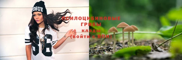 марки lsd Инсар