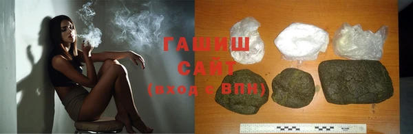 прущие грибы Инта