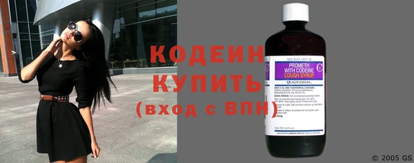 прущие грибы Инта