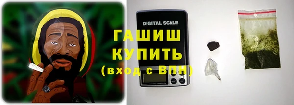 прущие грибы Инта