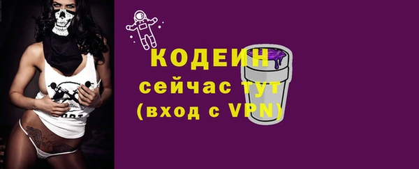 прущие грибы Инта