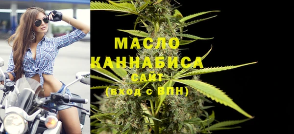 прущие грибы Инта