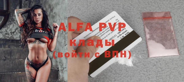 прущие грибы Инта