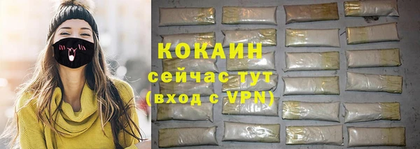 прущие грибы Инта