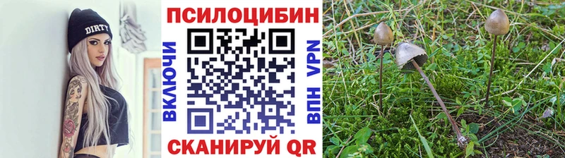 Псилоцибиновые грибы Magic Shrooms  Югорск 